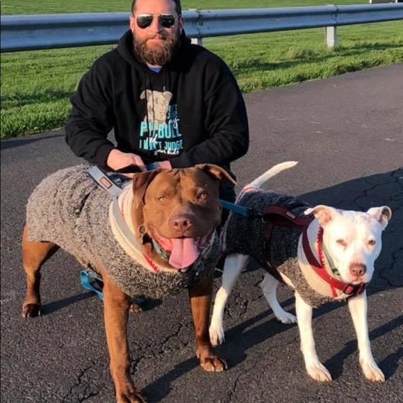 Meet your Posher, Gia - Picture 8 of 10